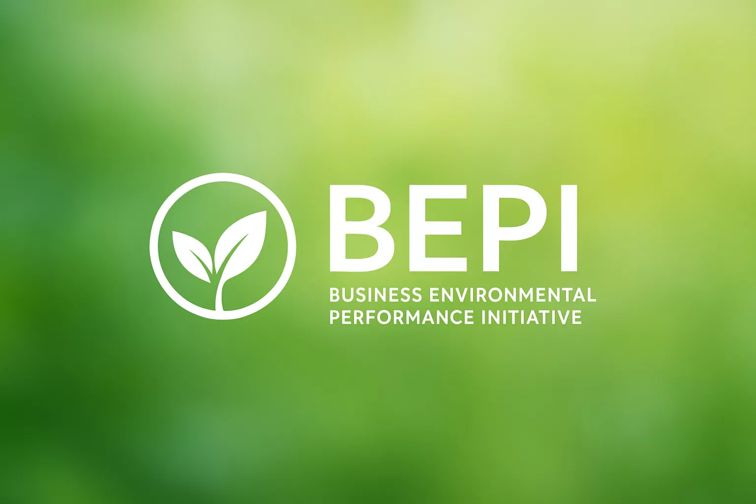 BEPI 环境安全咨询