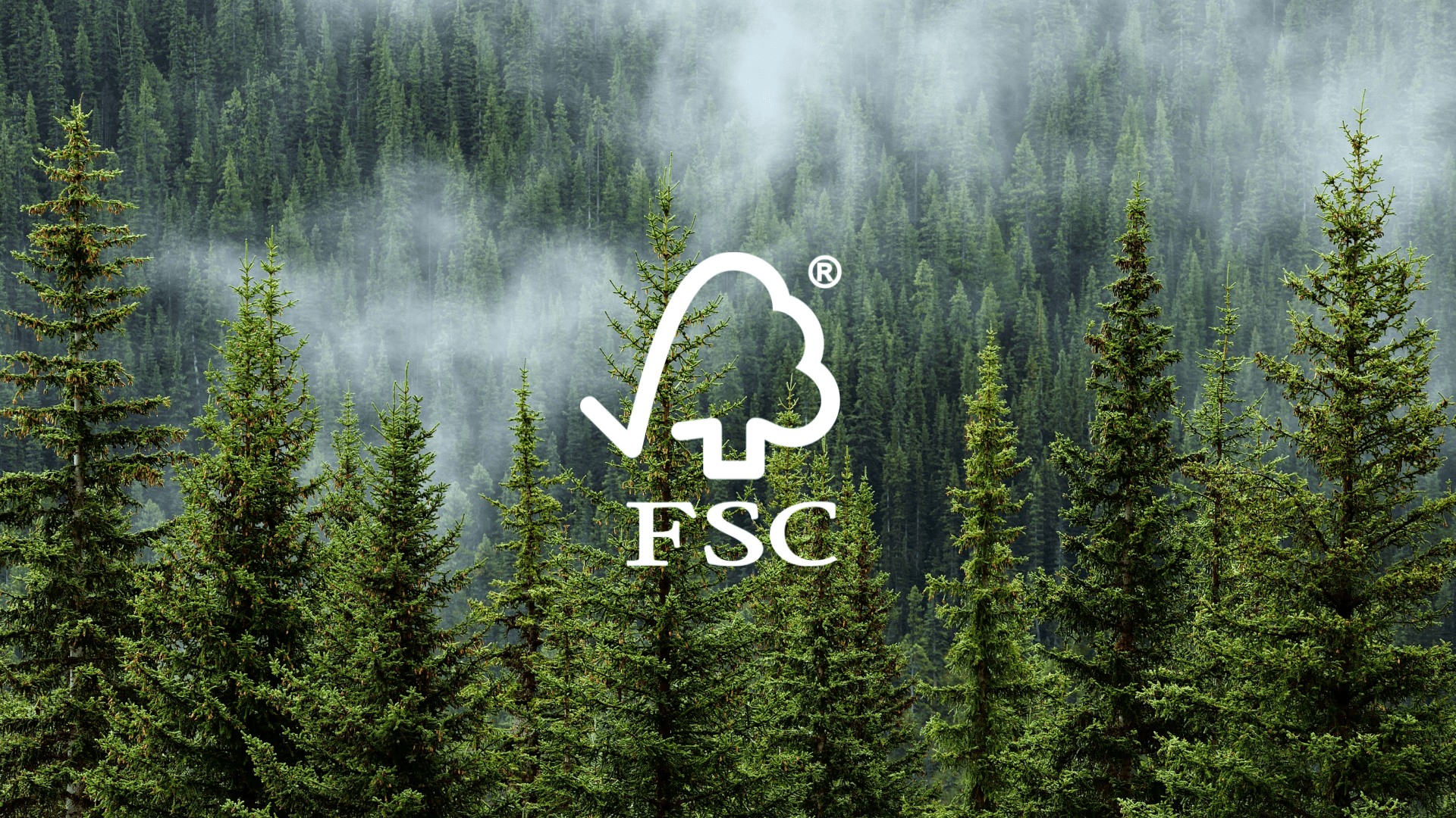 FSC 供应链保证咨询