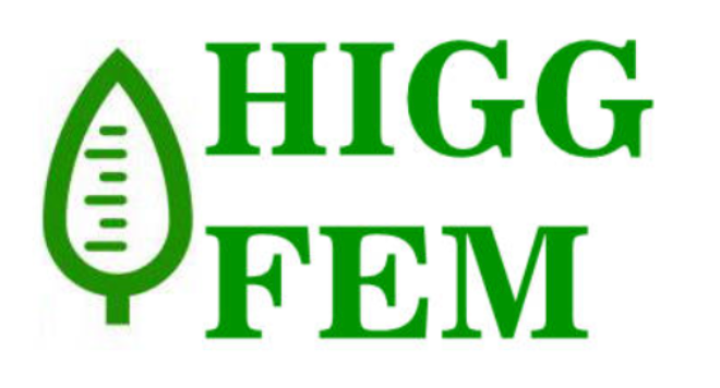 HIGG/FEM 环境安全咨询